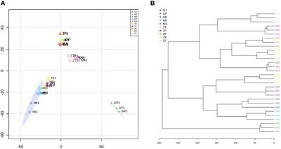 Comprehensive comparison of different parts of Paeonia ostii, a food-medicine plant, based on untargeted metabolomics, quantitative analysis, and bioactivity analysis